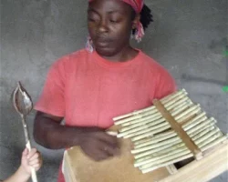Recup et zique - Récupération fr divers objets pour en faire des instruments insolites de musique pour tous - Guitare Moustique , kora, kpé, sanza, khoung, shwè, balafon, shwa' ect. Lieu: cave de mon appartement - 2066 -2008