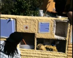 avant mon entrée en stage BAPAAT pour devenir animateur Mairie Montpellier.
Année: 2007