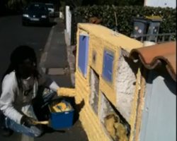 Fin d'un chantier de peinture bâtiment.
Environ 120m2 intérieur/extérieur.