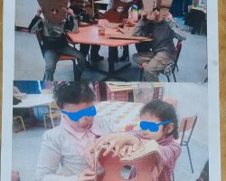 6 Mois de découvertes, de plaisirs, de joie à travers:
- Récupérations: Cartons, Bouts de bois, Petites lattes,
- Tests & usage de Scie à bois, Scie sauteuse, Râpes, Papiers de verre, ponceuse électrique, Colles fortes, Vis, Câbles de frein de vélo, etc, pour:
- Se fabriquer sa propre Guitare (Souvenir d'école élémentaire - Excellentes vacances).
- Épater parents, amis et public lors du concert de fin d'année scolaire, l'évènement "AniMania".
- S'investir plus tard dans: La Musique et/ou la Lutherie. Éveil Musical / Fabrication. Entre les instruments de Musique (par Récupération) et l'Initiation à la Lutherie, on Découvre, Rêve, Essaie, Risque, Produit, S’amuse, Patiente, Partage, Échange, Aide, etc... Aventure palpitante vers un beau futur métier: la Lutherie et/ou la Musique-Guitare.