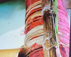 Meilleure invention / production.
Enfant nettement plus éveillée, curieuse, engagée, patiente, courageuse, volontaire que ses camarades de classe, et ses ainés du CE1 au CM2 actifs sur cette longue activité.
Résultat: Joie, admiration, envie et plaisir de le toucher / d'en jouer par tous les autres enfants, & des collègues animateurs. La Photo de l'instrument achevé n'existe malheureusement pas. En effet, j'étais brusquement affecté sur une sortie plage, (en remplacement d'un collègue malade). En mon absence, la petite avait achevé l'assemblage de son "GratOuf" avec mes collègues restés au centre, et s'en était allée en vacances ! Un programme familial inattendu.