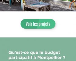 Jimmy Curtis, Président de la très jeune association NidArts (Voir logo dans les galeries) n'avait pas hésité à proposer l'une de ses idées les plus puissantes au Budget Participatif de la Mairie de Montpellier, en 2024.
Idée non retenue malheureusement pour plusieurs raisons: Association trop jeune et pas encore référencée officiellement, par exemple...